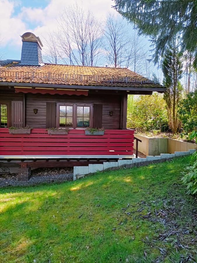 Bergfreude Chalet Braunlage Zewnętrze zdjęcie