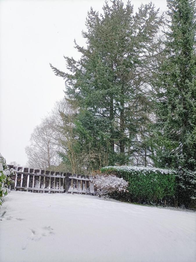 Bergfreude Chalet Braunlage Zewnętrze zdjęcie